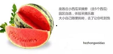 娱乐吃瓜固定模版如何做,揭秘明星幕后故事,带你领略明星们的真实生活 第2张 娱乐吃瓜固定模版如何做,揭秘明星幕后故事,带你领略明星们的真实生活 第2张